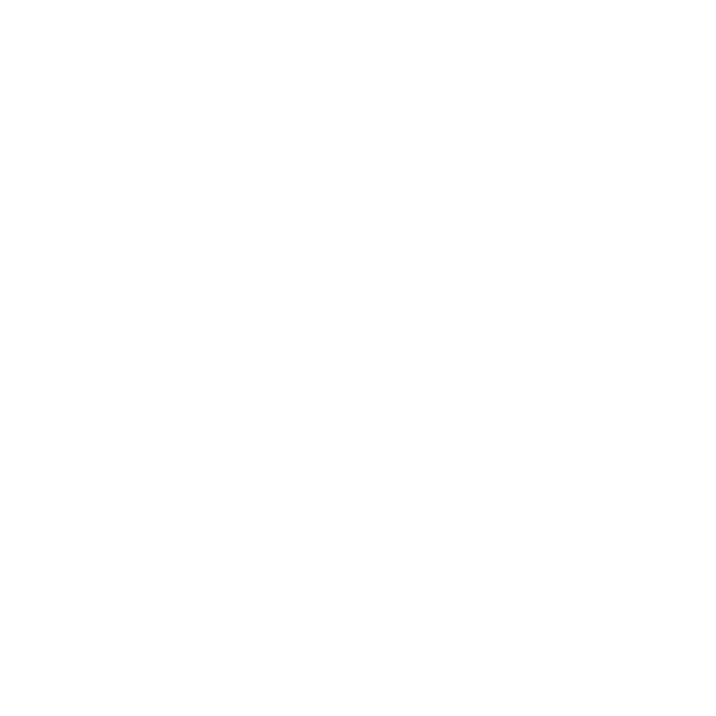 Teds tire discounter